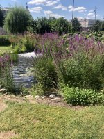 IMG_1032.jpeg