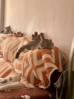 IMG_7759.jpeg