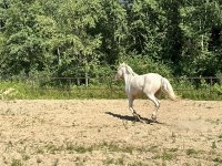 IMG_8757.JPG