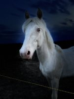 IMG_E4576.JPG