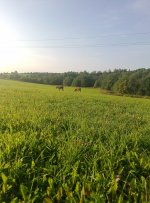 IMG_20240821_171742_206.jpg