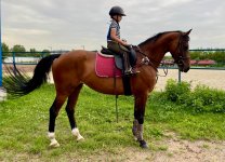 e79955e5-622f-41a5-a6dc-581ec5120fe6 2.JPG