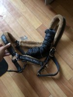 IMG_1266.jpeg