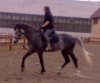18042010326.jpg
