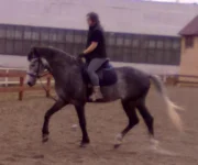 18042010326.webp