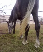 18042010387.webp
