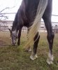 18042010387.jpg