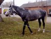 18042010389.jpg
