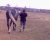 18042010394.jpg