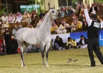 Qassim_1636_akahf10.webp