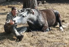 редкий.webp