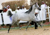 Sabha_1000_riy08.webp