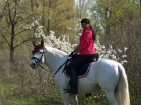 Мемфис и я.webp
