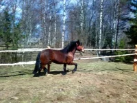 260420102226.webp