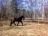 260420102224.jpg