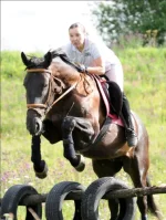 207.webp