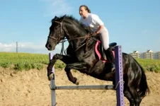 x_179876c5.webp