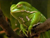 x_d4ecec02.webp