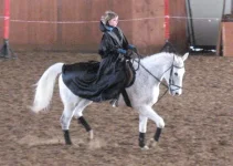12-01-10г-868.webp