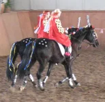 12-01-10г-902.webp