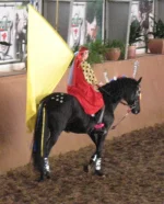 12-01-10г-922.webp