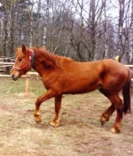 010520102248.webp