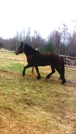 010520102253.webp