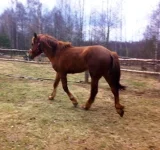 010520102247.webp