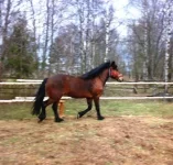 010520102255.webp