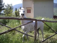 web5.webp