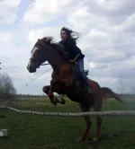 Изображение 106_resize.webp