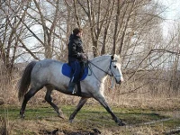 DSC04077.webp