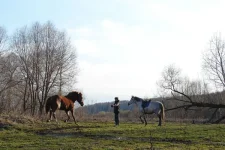 DSC04187.webp
