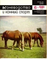 КК 6-1981._0001.webp