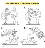 клещ.webp