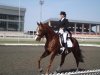 DSC09059.jpg