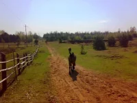 080520102267.webp
