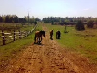 080520102270.webp