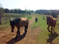 080520102271.webp