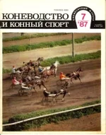 КК 7 -1987..webp