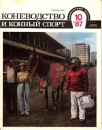 КК 10-1987..webp