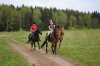 DSC_0478.jpg