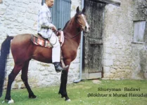 shuwayman-badawi1.webp