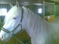 19042010(002)-001.webp