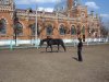 Изменение размера Копия DSC04947.JPG