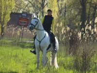 Задумались.webp