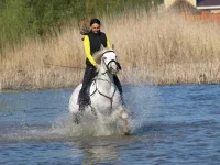 По воде.webp