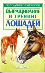 Выращивание и тренинг лошадей.webp