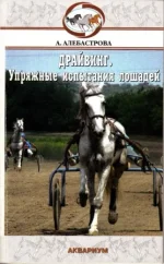 Драйвинг..webp