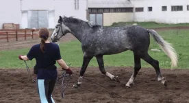DPP_0090.webp